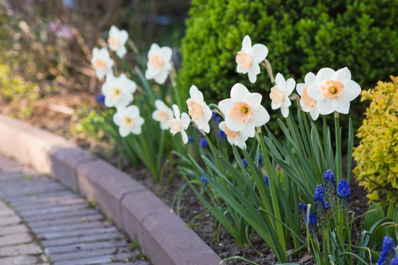 Garden Paving